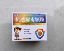 抗感解毒颗粒